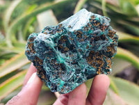 Natural Silky Malachite Specimens x 6 From Kasompe, Congo