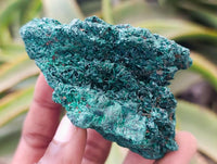 Natural Silky Malachite Specimens x 6 From Kasompe, Congo