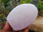 Polished Blue Rose Quartz Standing Free Form x 2 From Madagascar