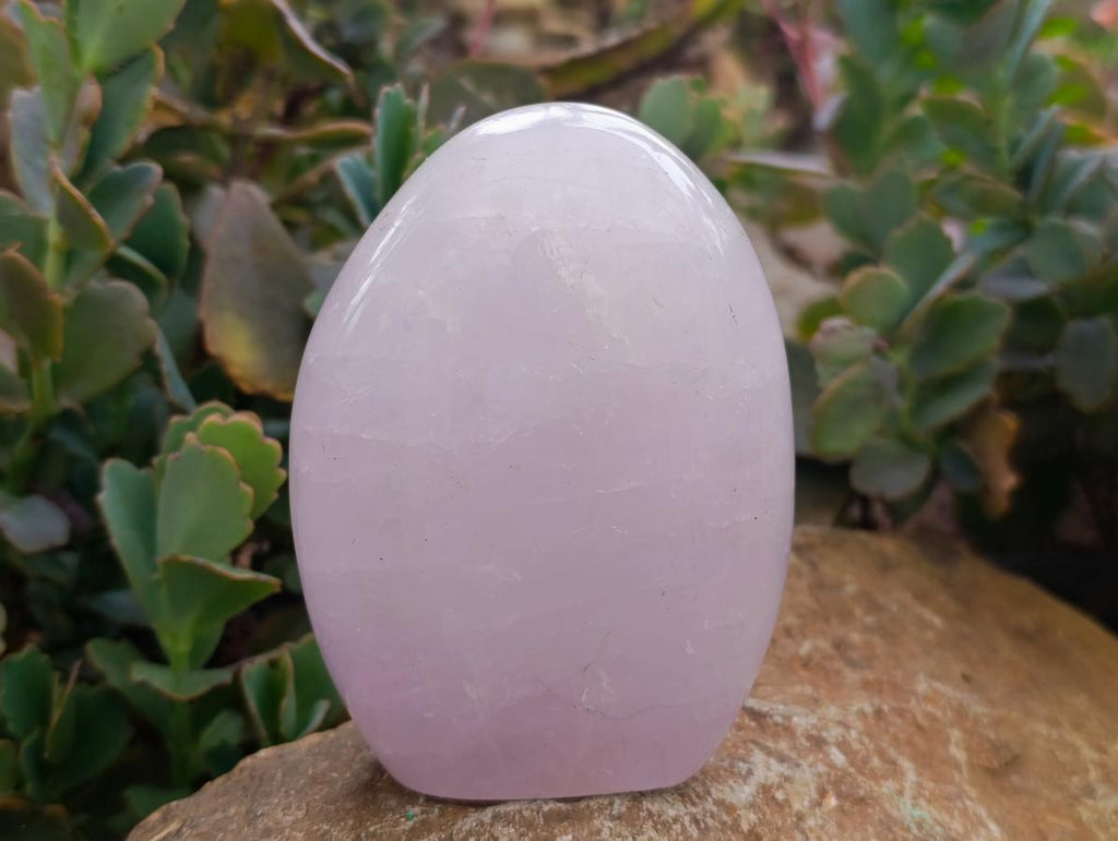 Polished Blue Rose Quartz Standing Free Form x 2 From Madagascar