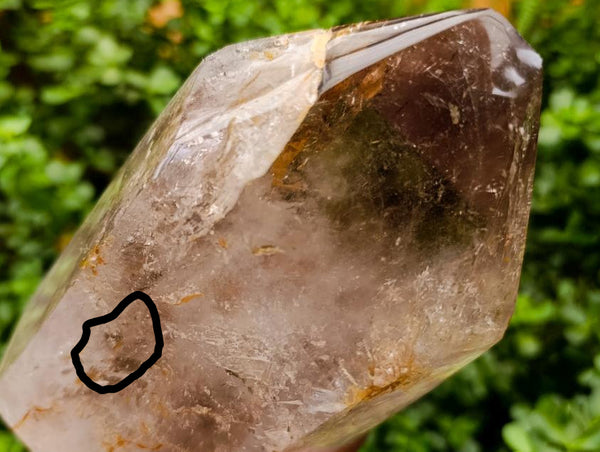 Polished XL Clear Smokey Window Crystal with Enhydro x 1 From Akansobe, Madagascar