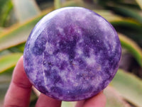 Polished Lepidolite Galets x 12 From Zimbabwe