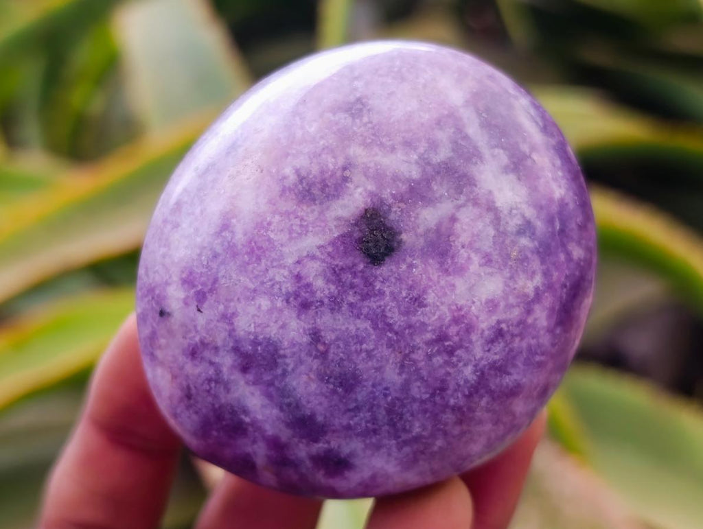 Polished Lepidolite Galets x 12 From Zimbabwe