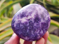 Polished Lepidolite Galets x 12 From Zimbabwe