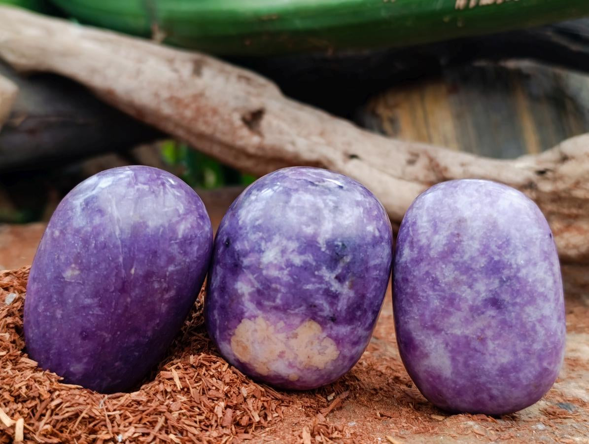 Polished Lepidolite Galets x 12 From Zimbabwe