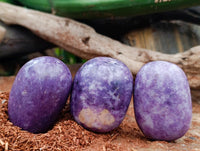 Polished Lepidolite Galets x 12 From Zimbabwe