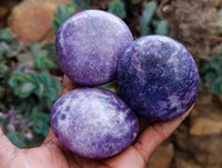 Polished Lepidolite Galets x 12 From Zimbabwe