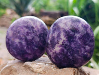 Polished Lepidolite Galets x 12 From Zimbabwe
