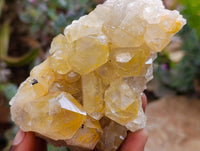 Natural Limonite Quartz Clusters x 5 From Solwezi, Zambia