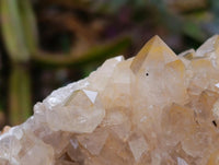 Natural Limonite Quartz Clusters x 5 From Solwezi, Zambia