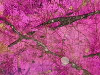 Polished On One Side Metallic Purpurite Pieces x 3 From Namibia