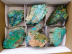 Natural Rough Shattuckite and Malachite Specimens x 6 From Kaokoveld, Namibia