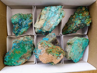 Natural Rough Shattuckite and Malachite Specimens x 6 From Kaokoveld, Namibia