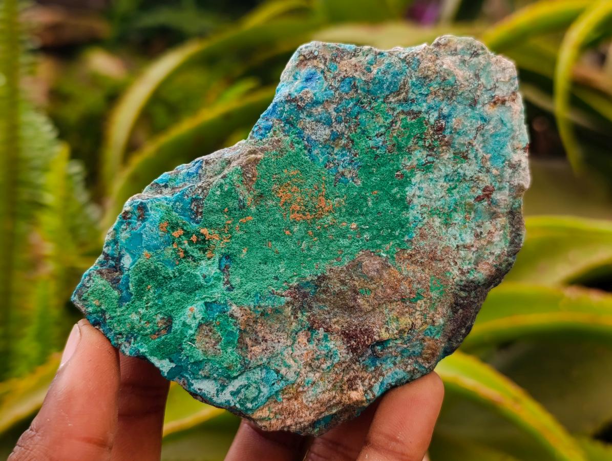 Natural Rough Shattuckite and Malachite Specimens x 6 From Kaokoveld, Namibia