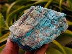 Natural Rough Shattuckite and Malachite Specimens x 6 From Kaokoveld, Namibia