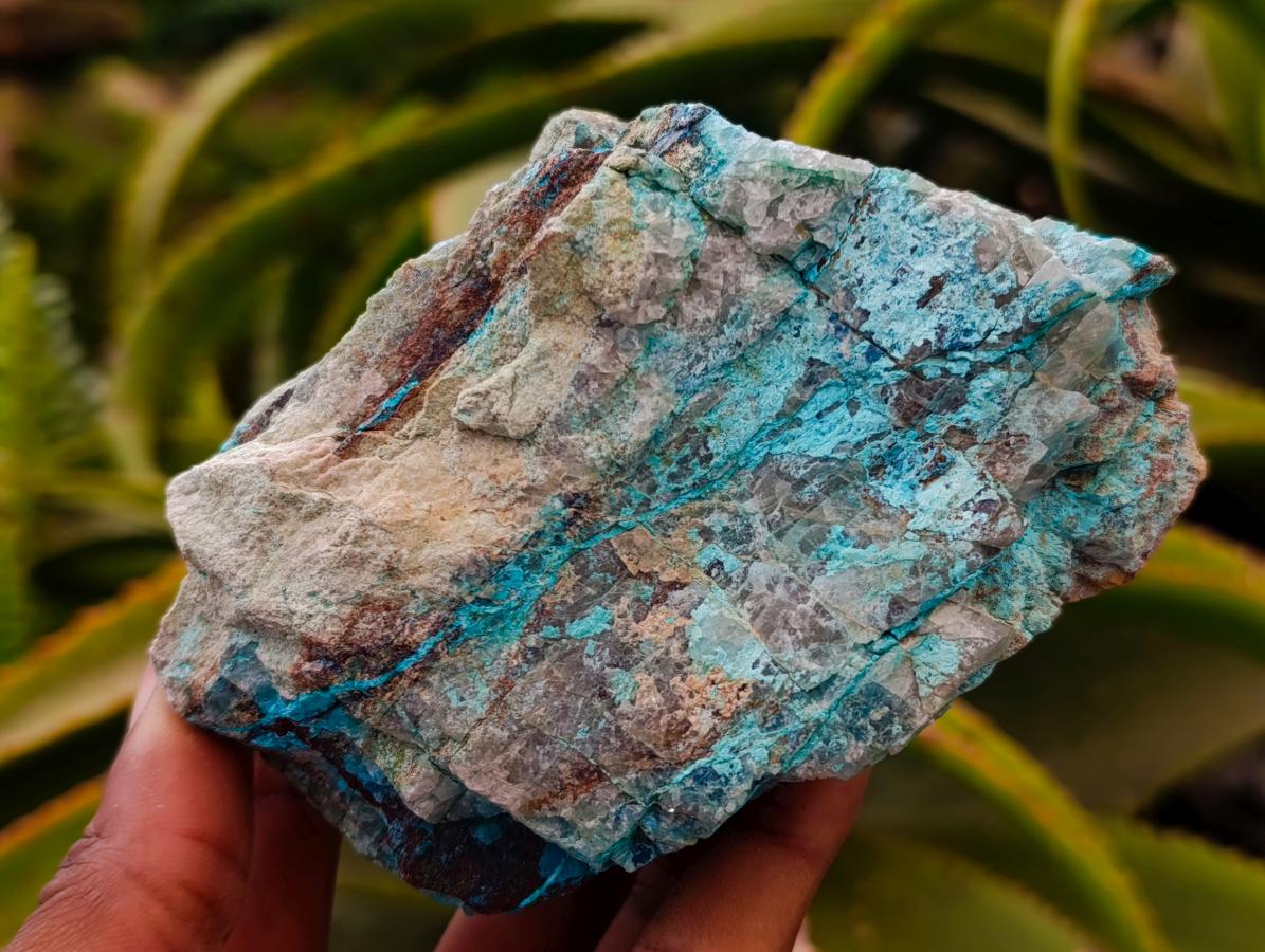 Natural Rough Shattuckite and Malachite Specimens x 6 From Kaokoveld, Namibia