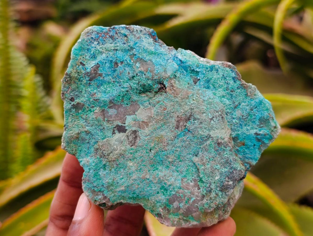 Natural Rough Shattuckite and Malachite Specimens x 6 From Kaokoveld, Namibia
