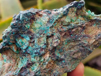 Natural Rough Shattuckite and Malachite Specimens x 6 From Kaokoveld, Namibia