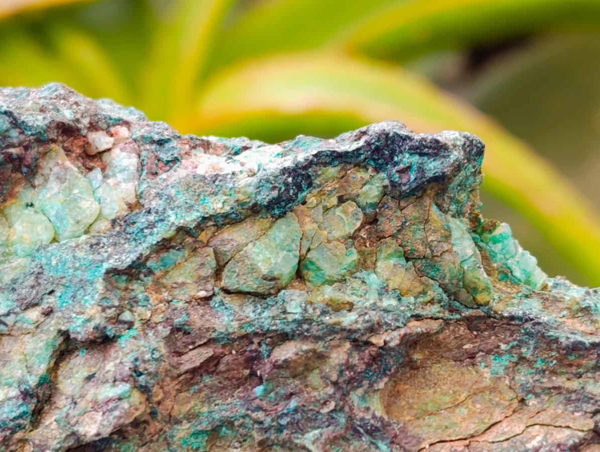 Natural Rough Shattuckite and Malachite Specimens x 6 From Kaokoveld, Namibia