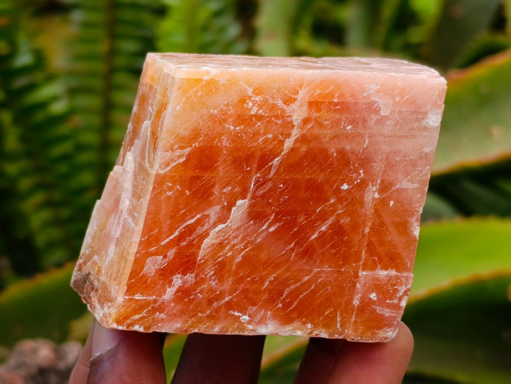 Natural Sunset Orange Calcite Specimens x 12 From Spitzkop, Namibia