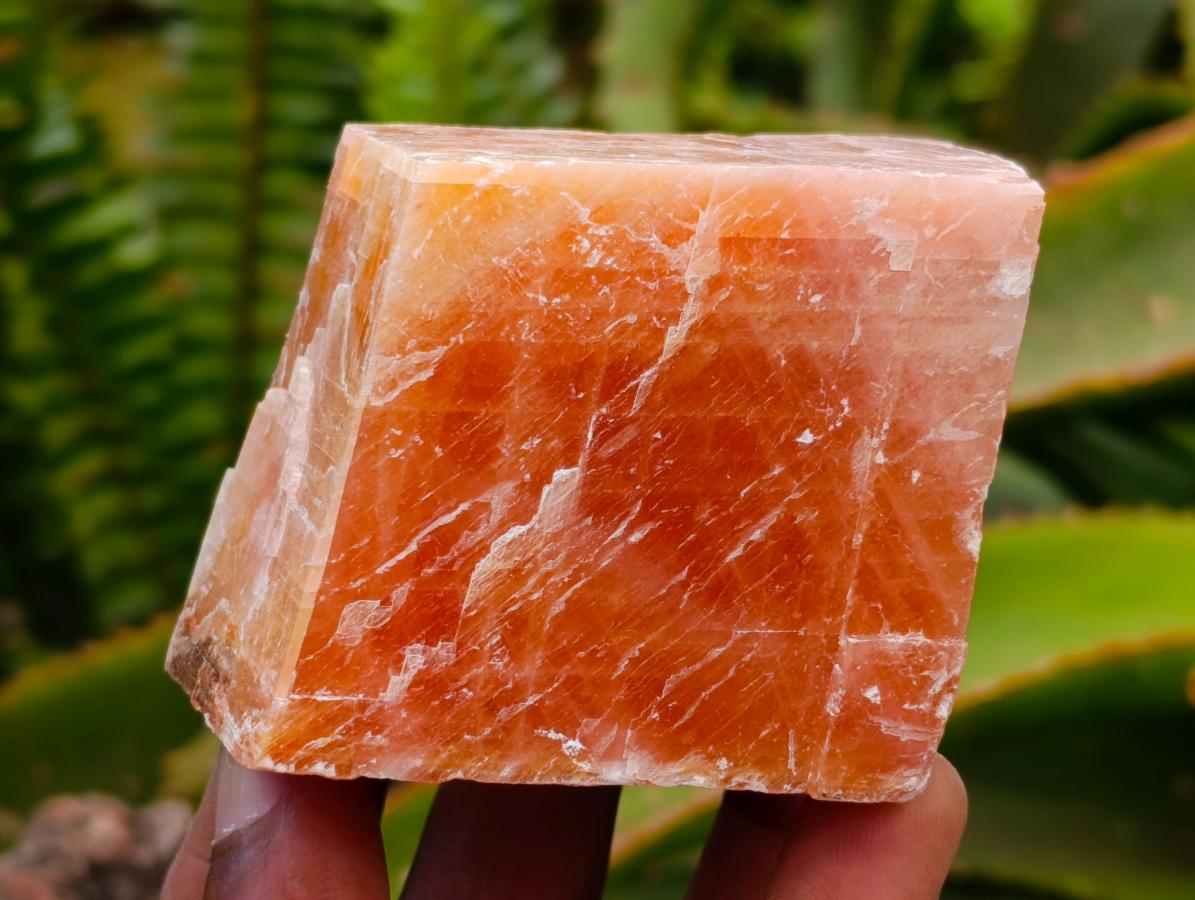 Natural Sunset Orange Calcite Specimens x 12 From Spitzkop, Namibia
