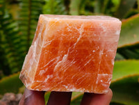 Natural Sunset Orange Calcite Specimens x 12 From Spitzkop, Namibia