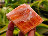 Natural Sunset Orange Calcite Specimens x 12 From Spitzkop, Namibia