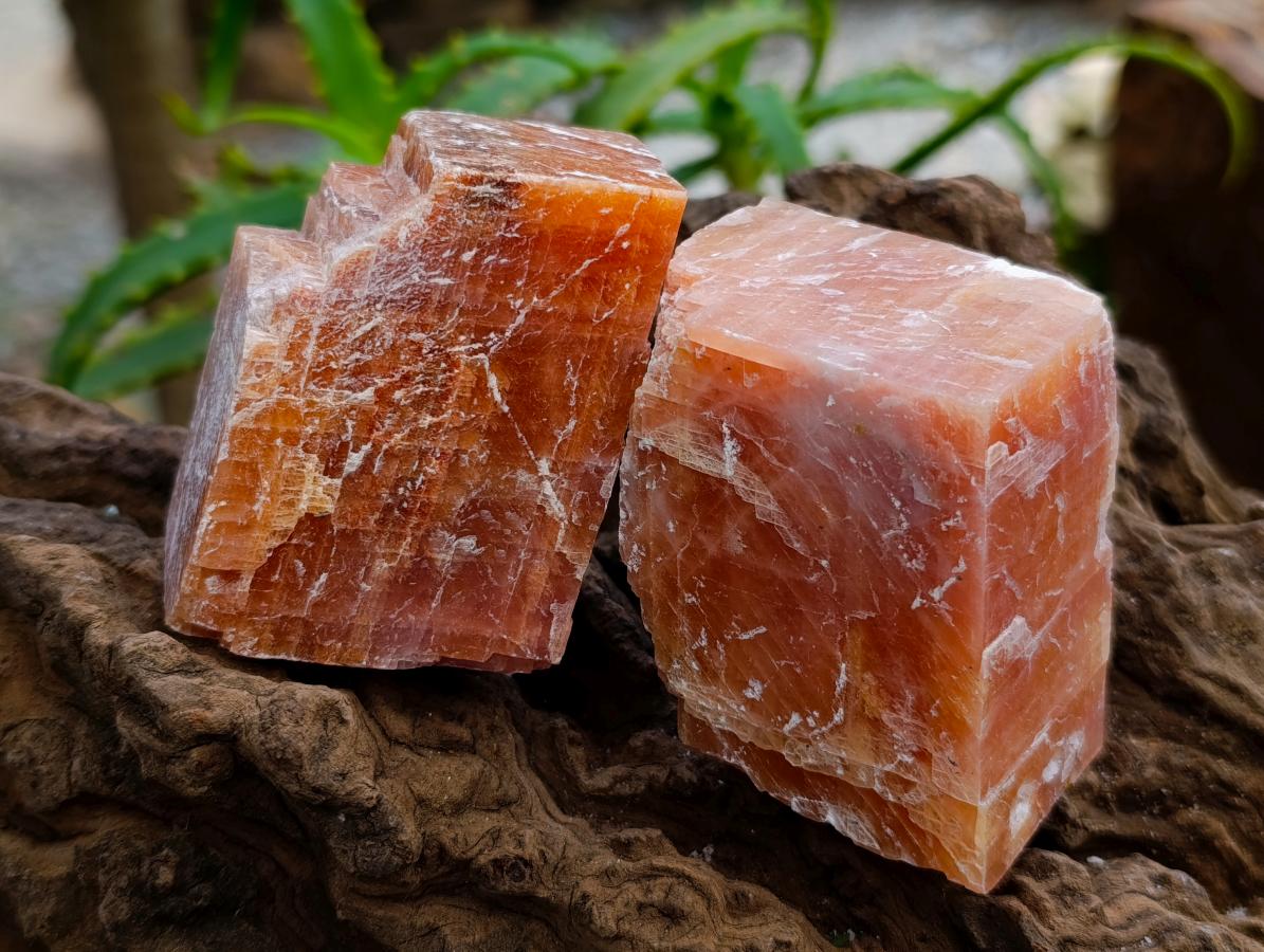 Natural Sunset Orange Calcite Specimens x 12 From Spitzkop, Namibia