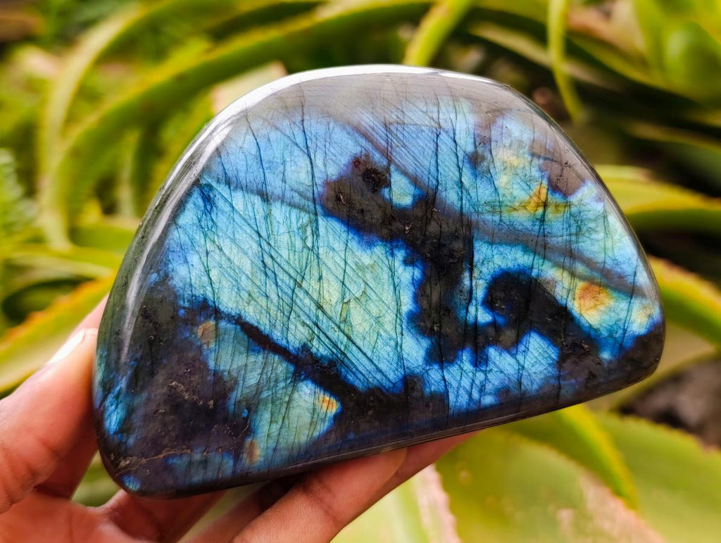 Polished Labradorite Standing Free Forms x 3 From Tulear, Madagascar