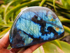 Polished Labradorite Standing Free Forms x 3 From Tulear, Madagascar
