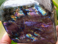 Polished Labradorite Standing Free Forms x 3 From Tulear, Madagascar