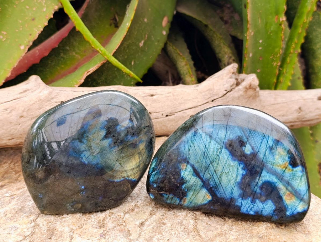 Polished Labradorite Standing Free Forms x 3 From Tulear, Madagascar