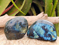 Polished Labradorite Standing Free Forms x 3 From Tulear, Madagascar