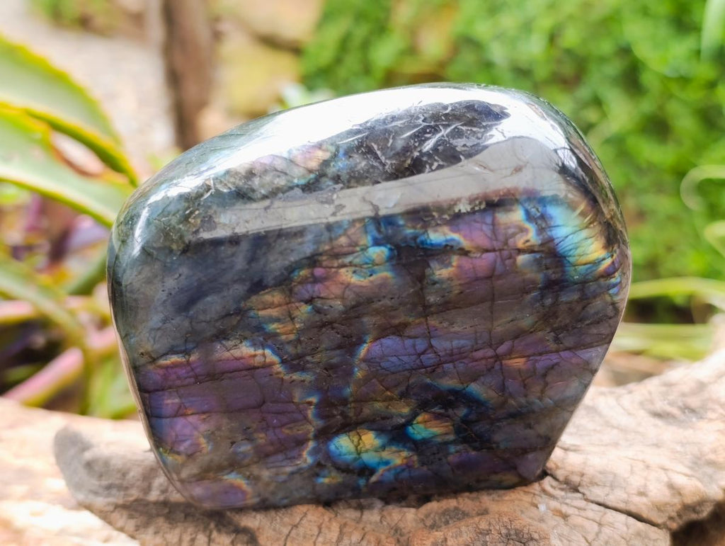 Polished Labradorite Standing Free Forms x 3 From Tulear, Madagascar
