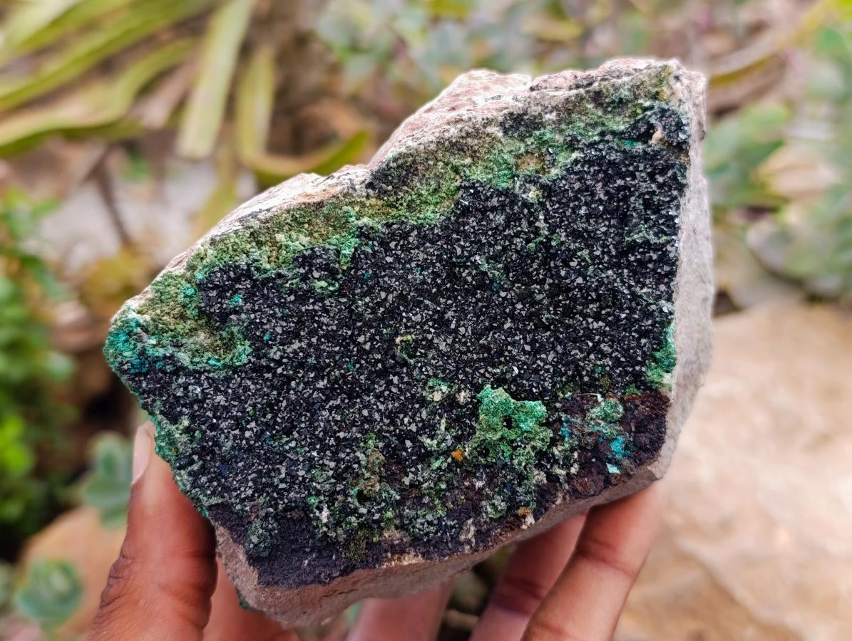 Natural Libethenite Crystals On Dolomite Matrix Specimen x 1 From Shituru, Congo