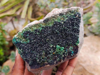 Natural Libethenite Crystals On Dolomite Matrix Specimen x 1 From Shituru, Congo