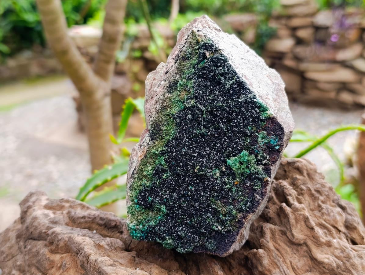 Natural Libethenite Crystals On Dolomite Matrix Specimen x 1 From Shituru, Congo