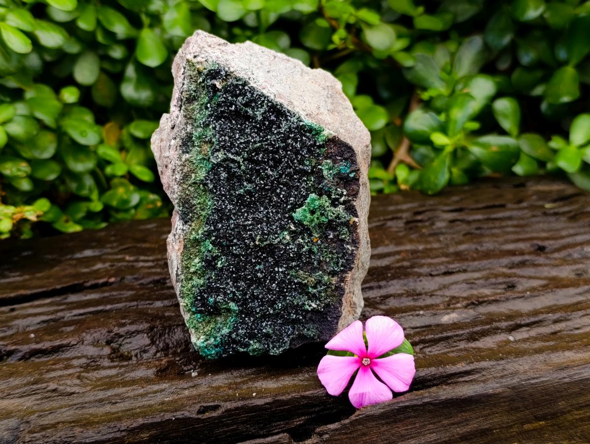 Natural Libethenite Crystals On Dolomite Matrix Specimen x 1 From Shituru, Congo