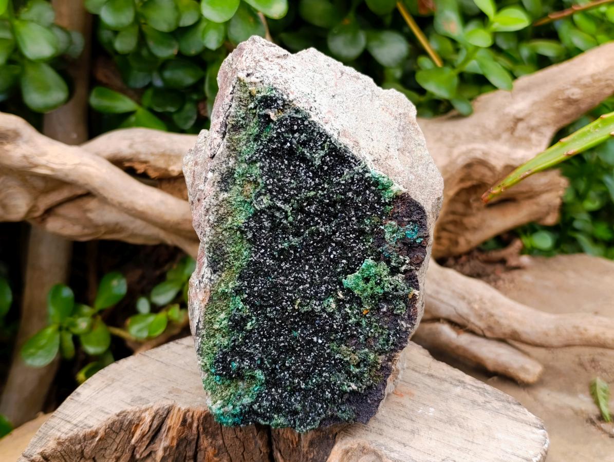 Natural Libethenite Crystals On Dolomite Matrix Specimen x 1 From Shituru, Congo