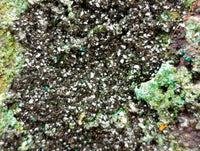 Natural Libethenite Crystals On Dolomite Matrix Specimen x 1 From Shituru, Congo