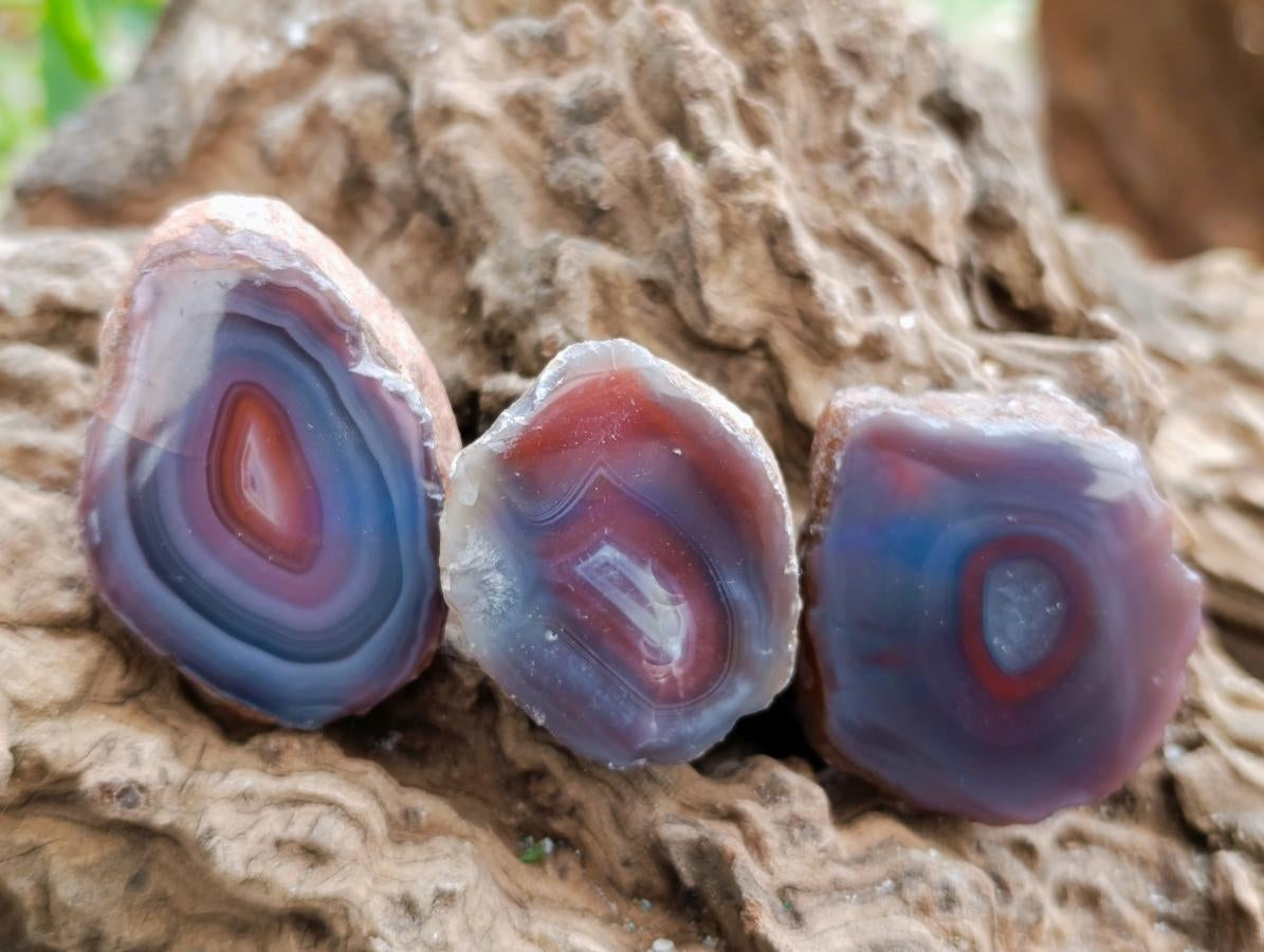 Polished Red Shashe River Agate Nodules x 35 From Shashe River, Zimbabwe