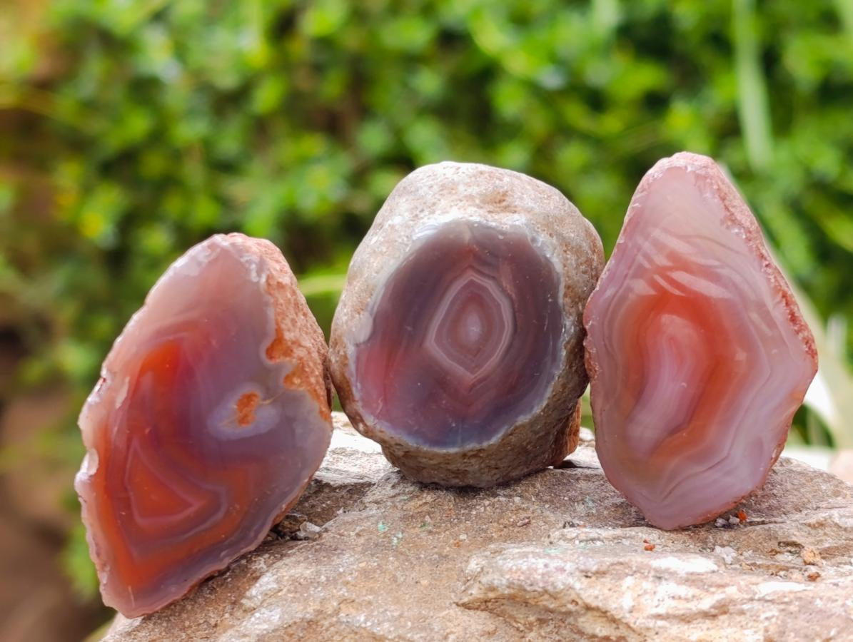 Polished Red Shashe River Agate Nodules x 35 From Shashe River, Zimbabwe
