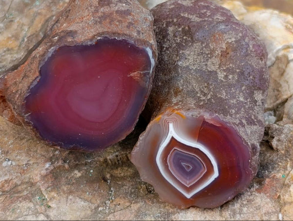 Polished Red Shashe River Agate Nodules x 35 From Shashe River, Zimbabwe