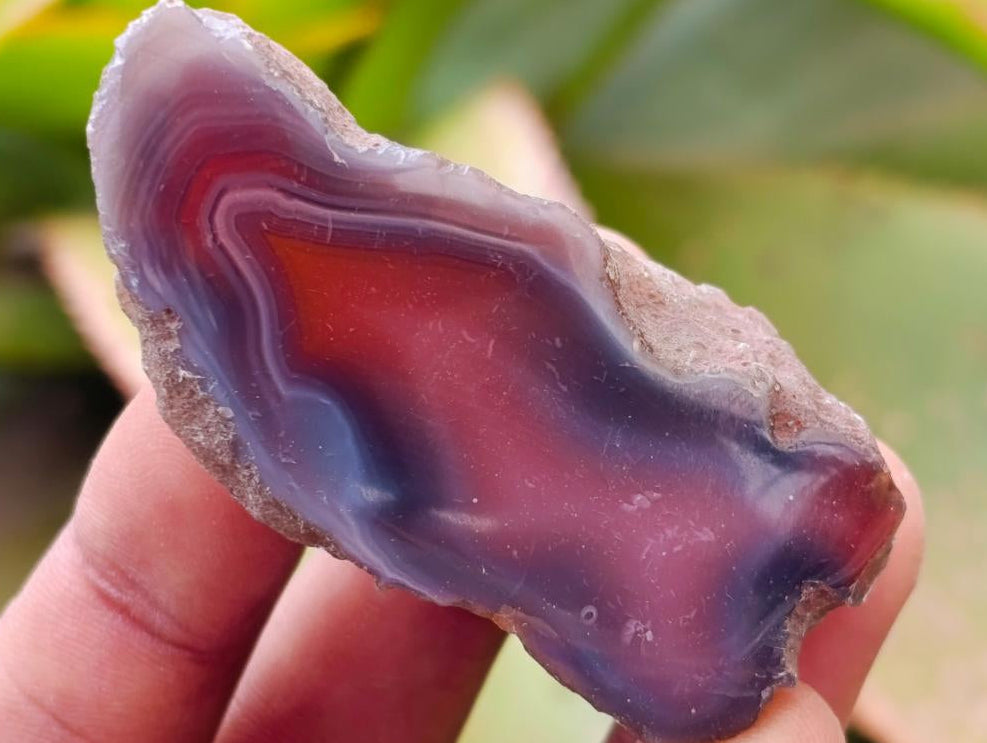 Polished Red Shashe River Agate Nodules x 35 From Shashe River, Zimbabwe