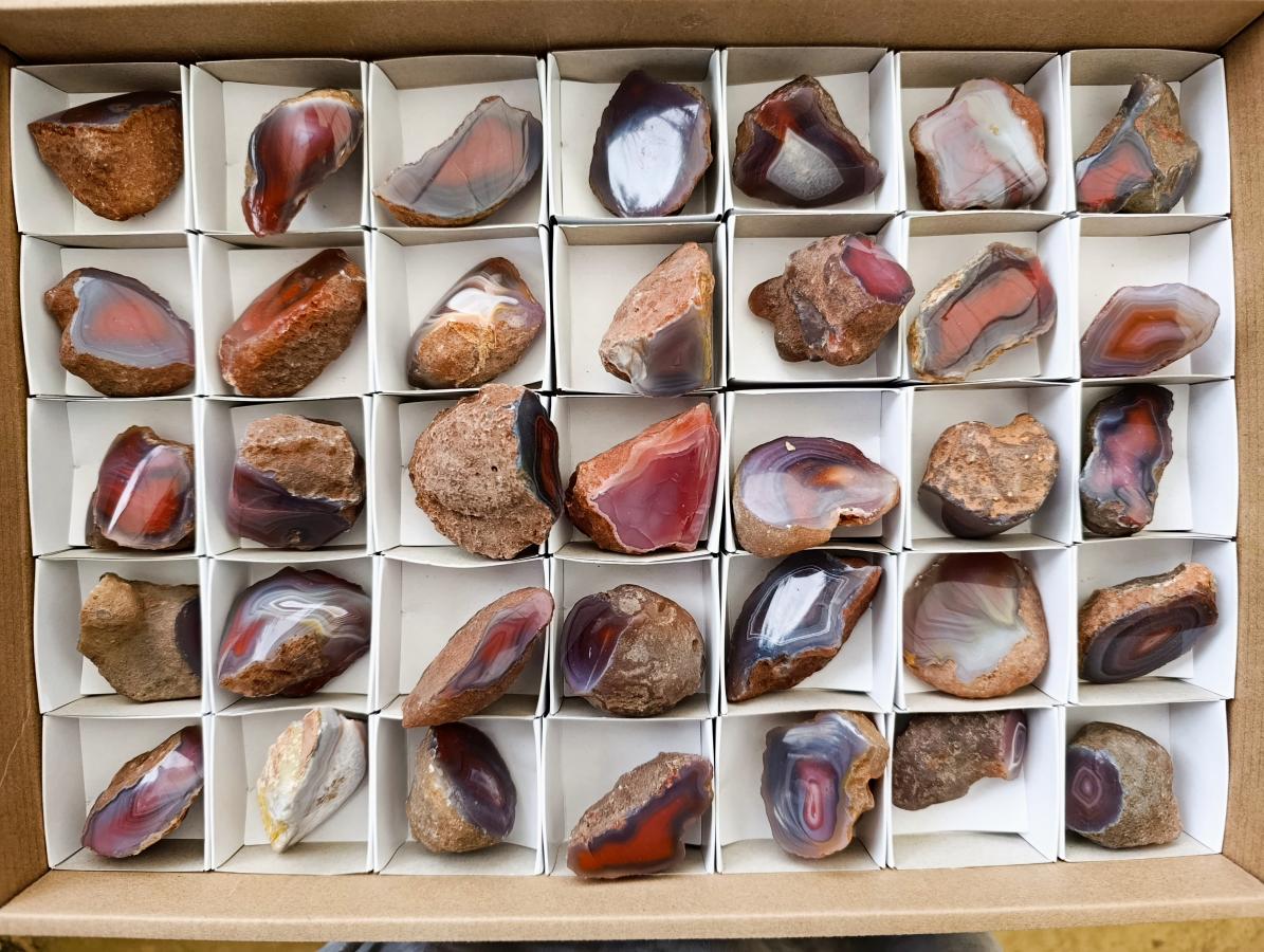 Polished Red Shashe River Agate Nodules x 35 From Shashe River, Zimbabwe