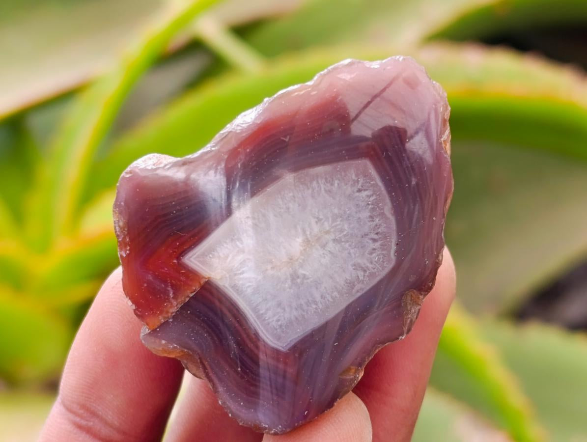 Polished Red Shashe River Agate Nodules x 35 From Shashe River, Zimbabwe
