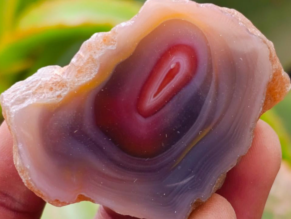 Polished Red Shashe River Agate Nodules x 35 From Shashe River, Zimbabwe