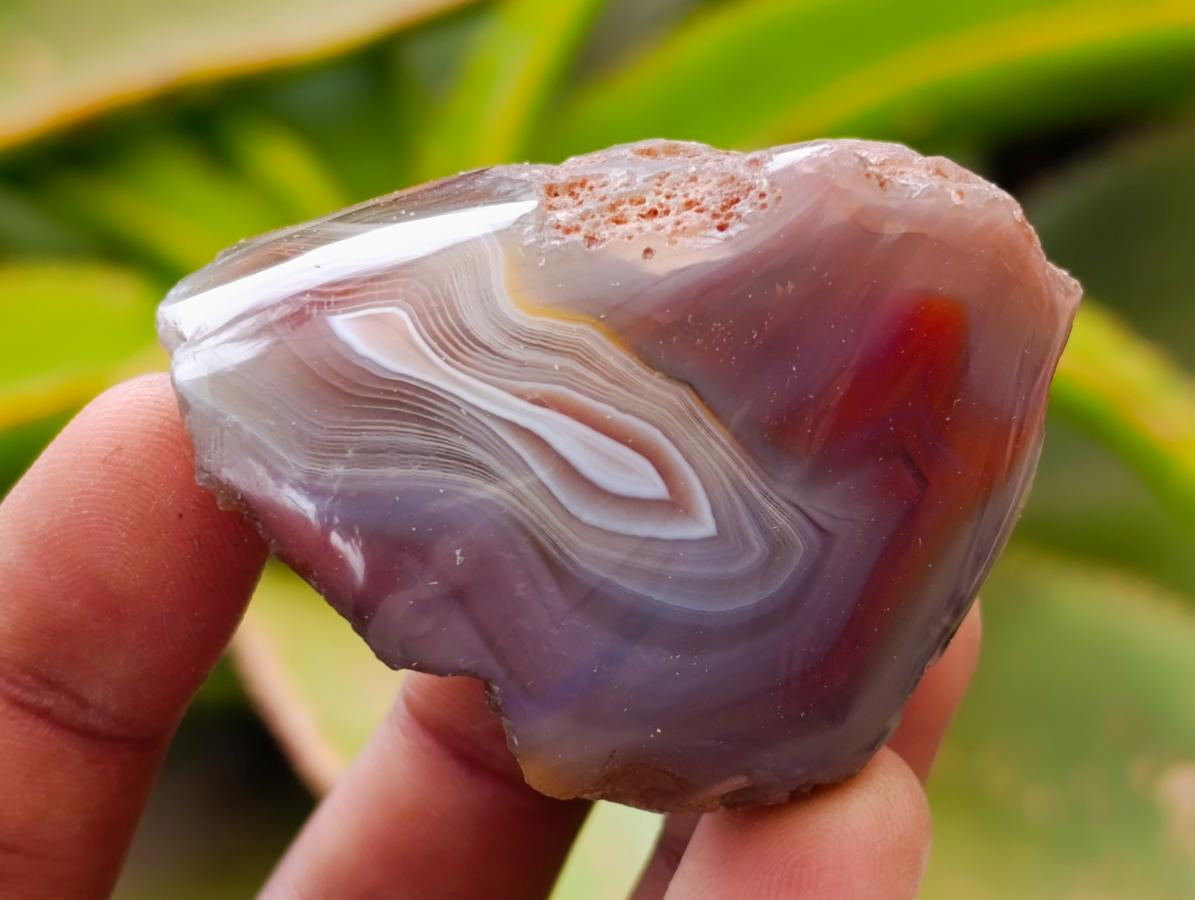 Polished Red Shashe River Agate Nodules x 35 From Shashe River, Zimbabwe