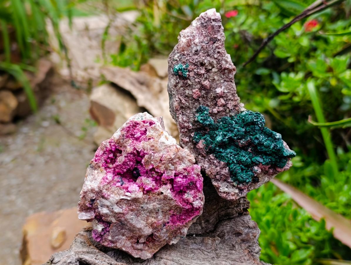 Natural Salrose Cobaltion Dolomite With Malachite And Heterogenite Specimens x 3 From Kakanda, Congo