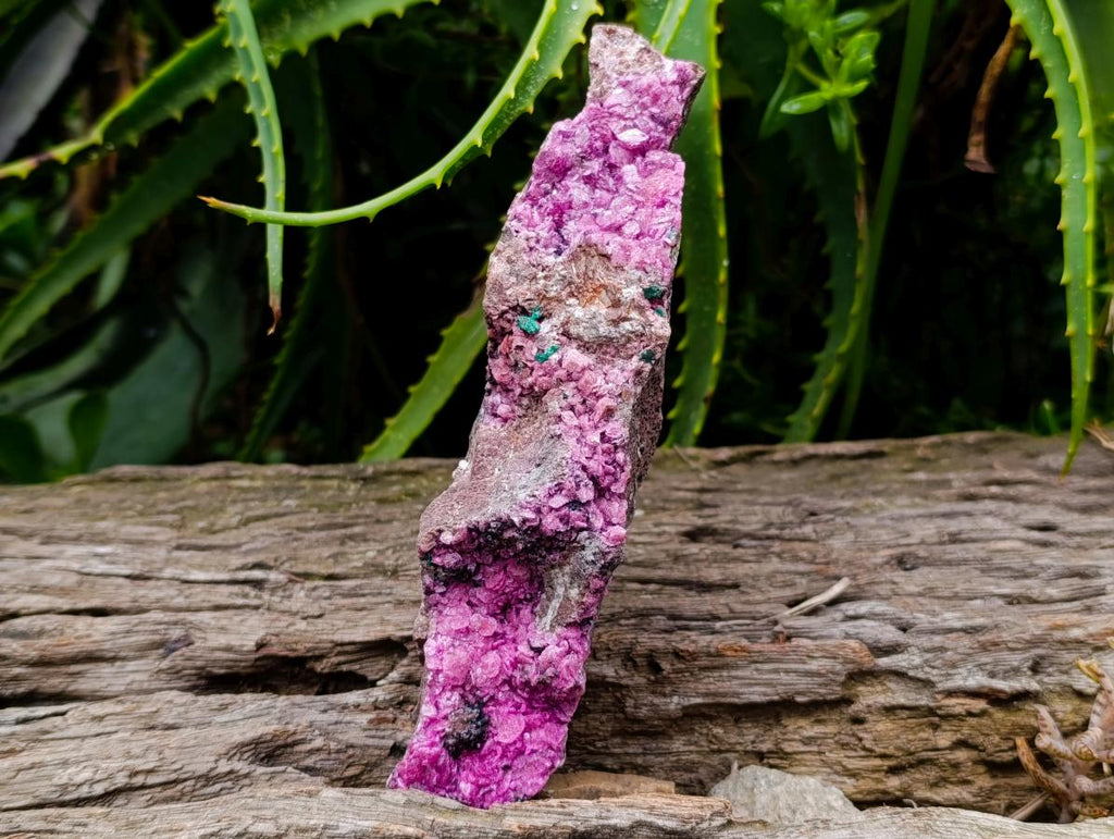 Natural Salrose Cobaltion Dolomite With Malachite And Heterogenite Specimens x 3 From Kakanda, Congo